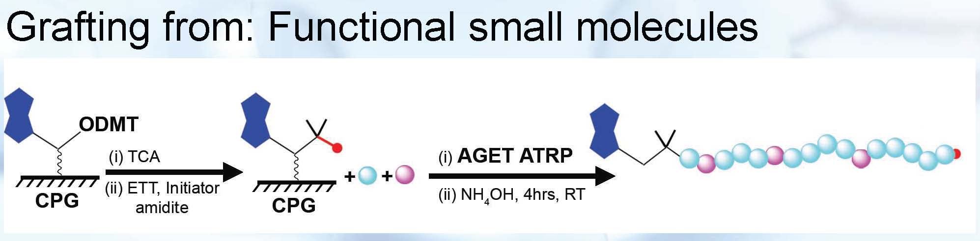 SAE slide 40 B